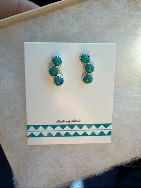 Sterling Silver Turquoise Crawler Earrings